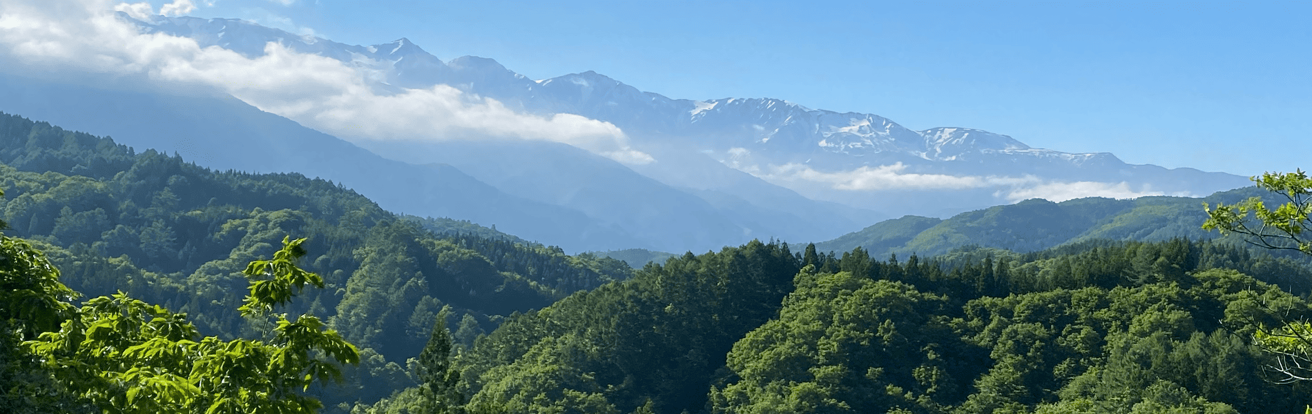 山林の風景